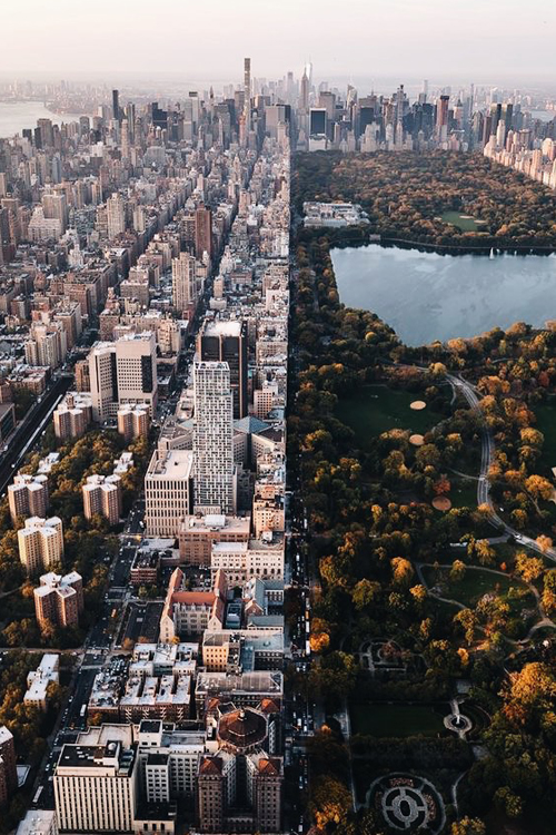 NYC Skyline & Central Park