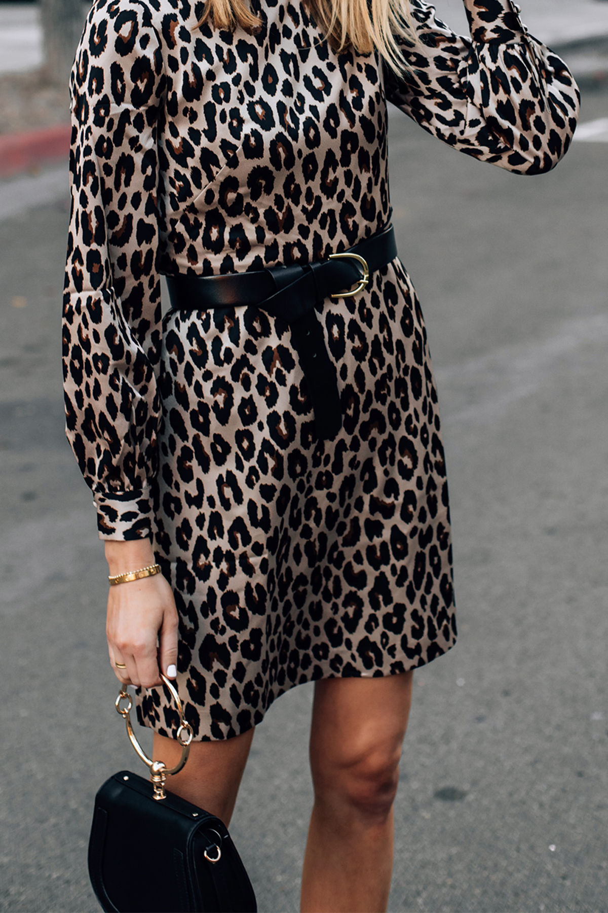 Woman Wearing Ann Taylor Leopard Dress with Black Belt Fashion Jackson San Diego Fashion Blogger Street Style