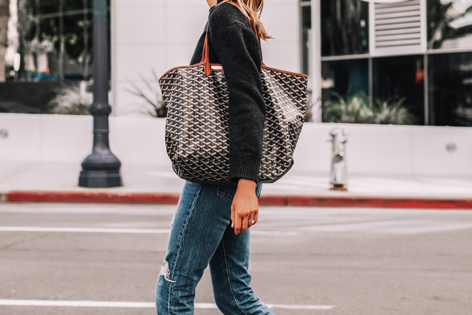 the Goyard St Louis GM Tote 