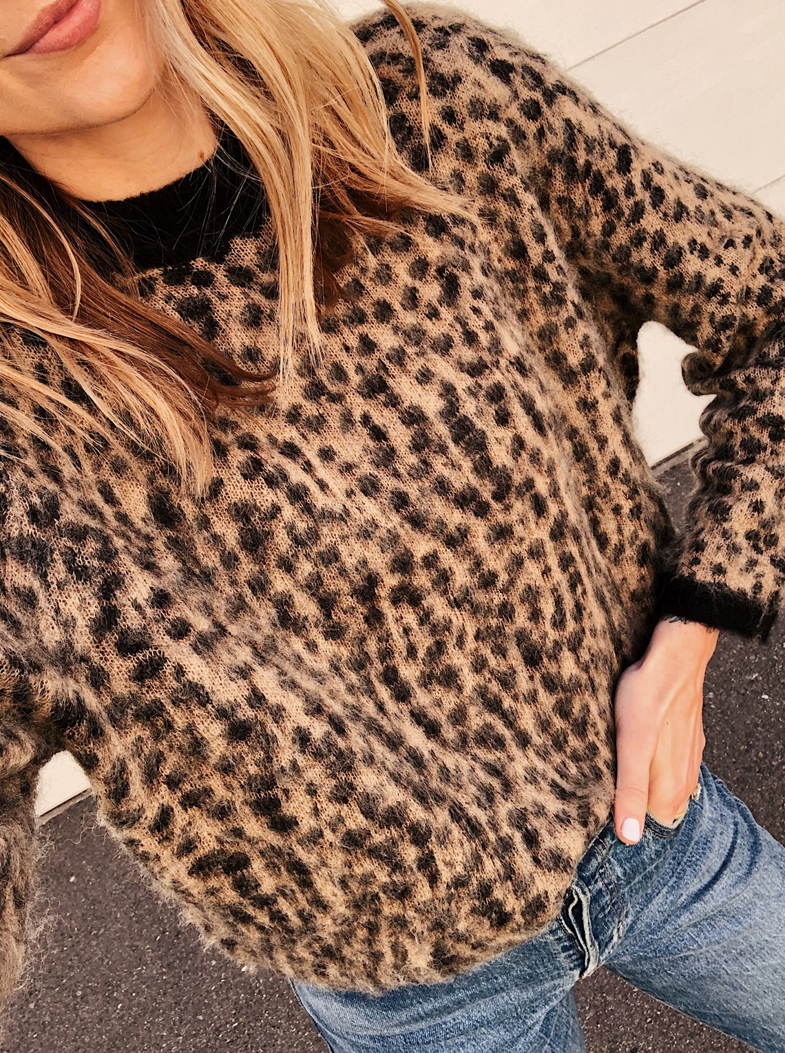 & Other Stories Leopard Sweater
