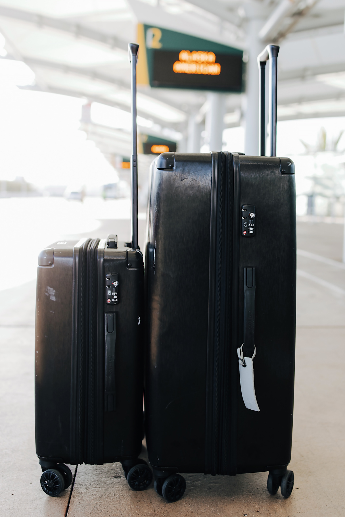 calpak checked luggage