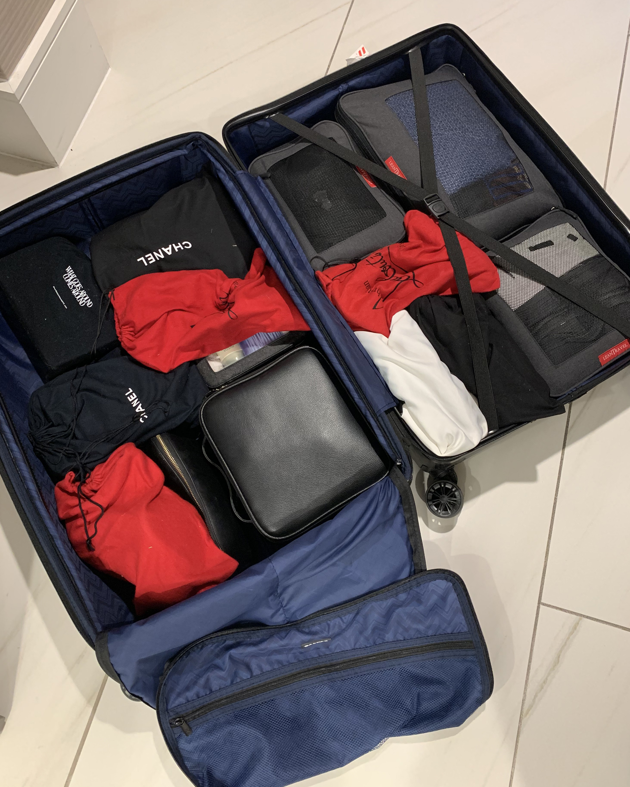 Calpak Luggage with packing cubes