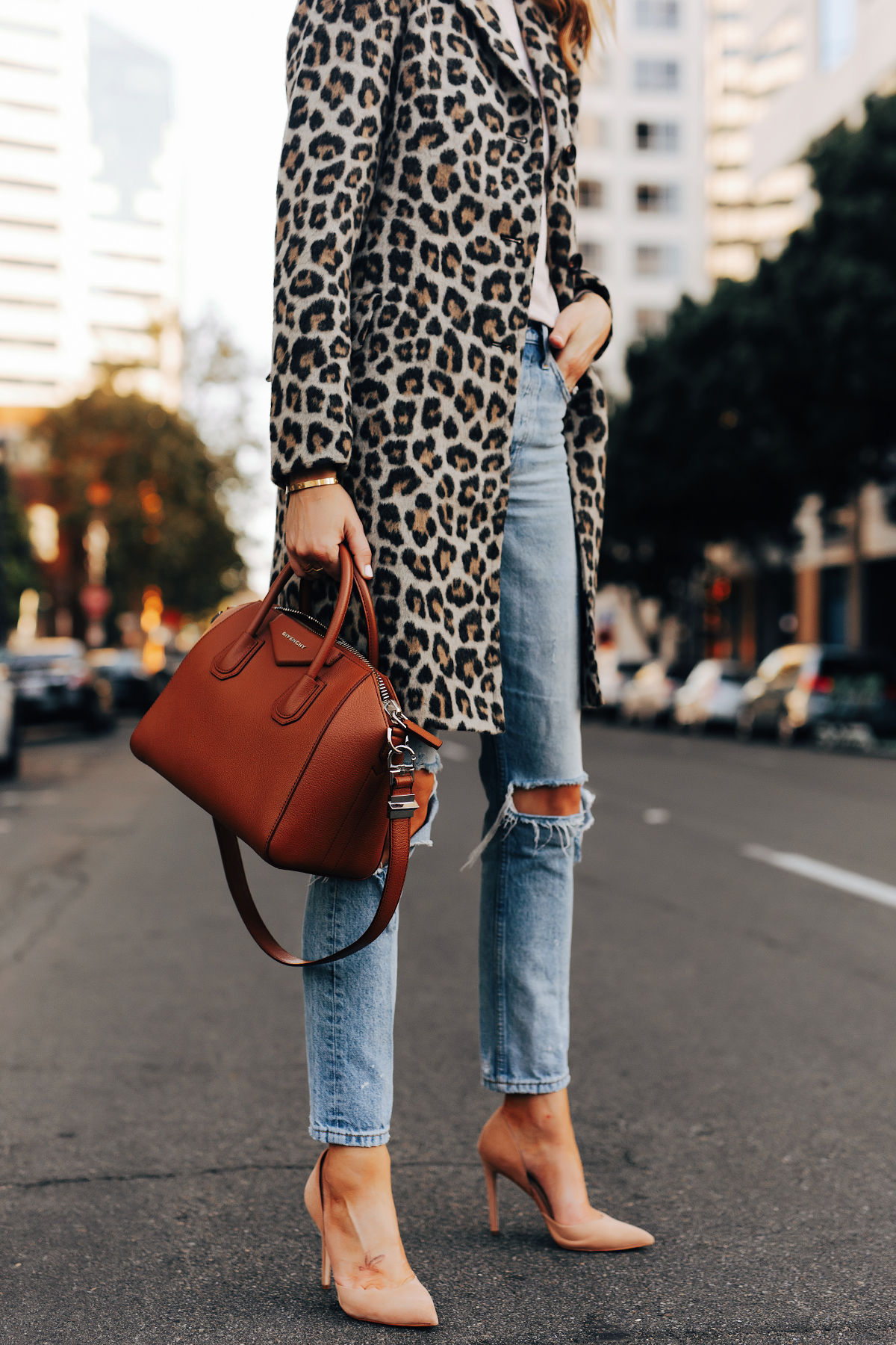 Ann taylor shop leopard jacket