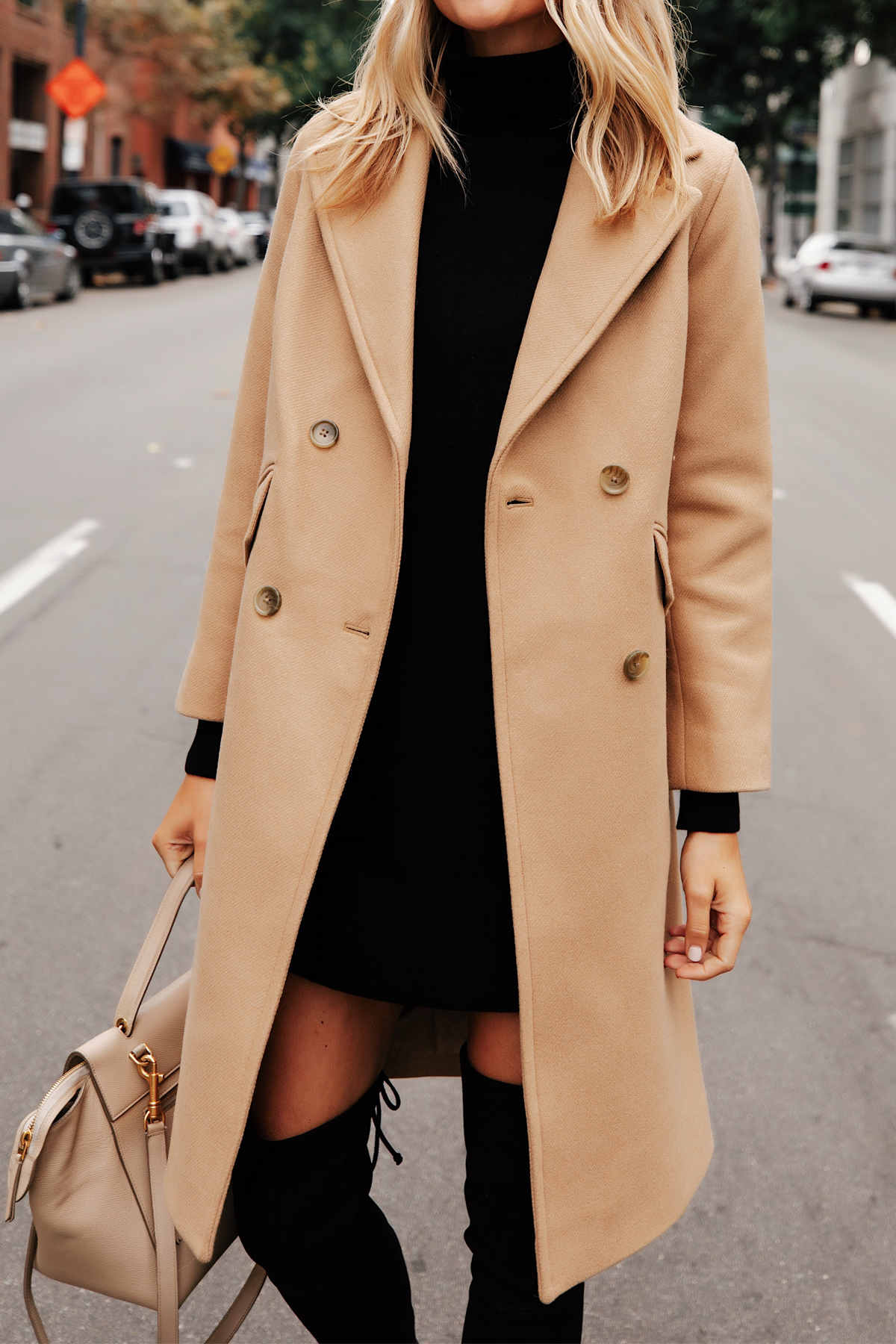 Everlane Camel Coat 2024