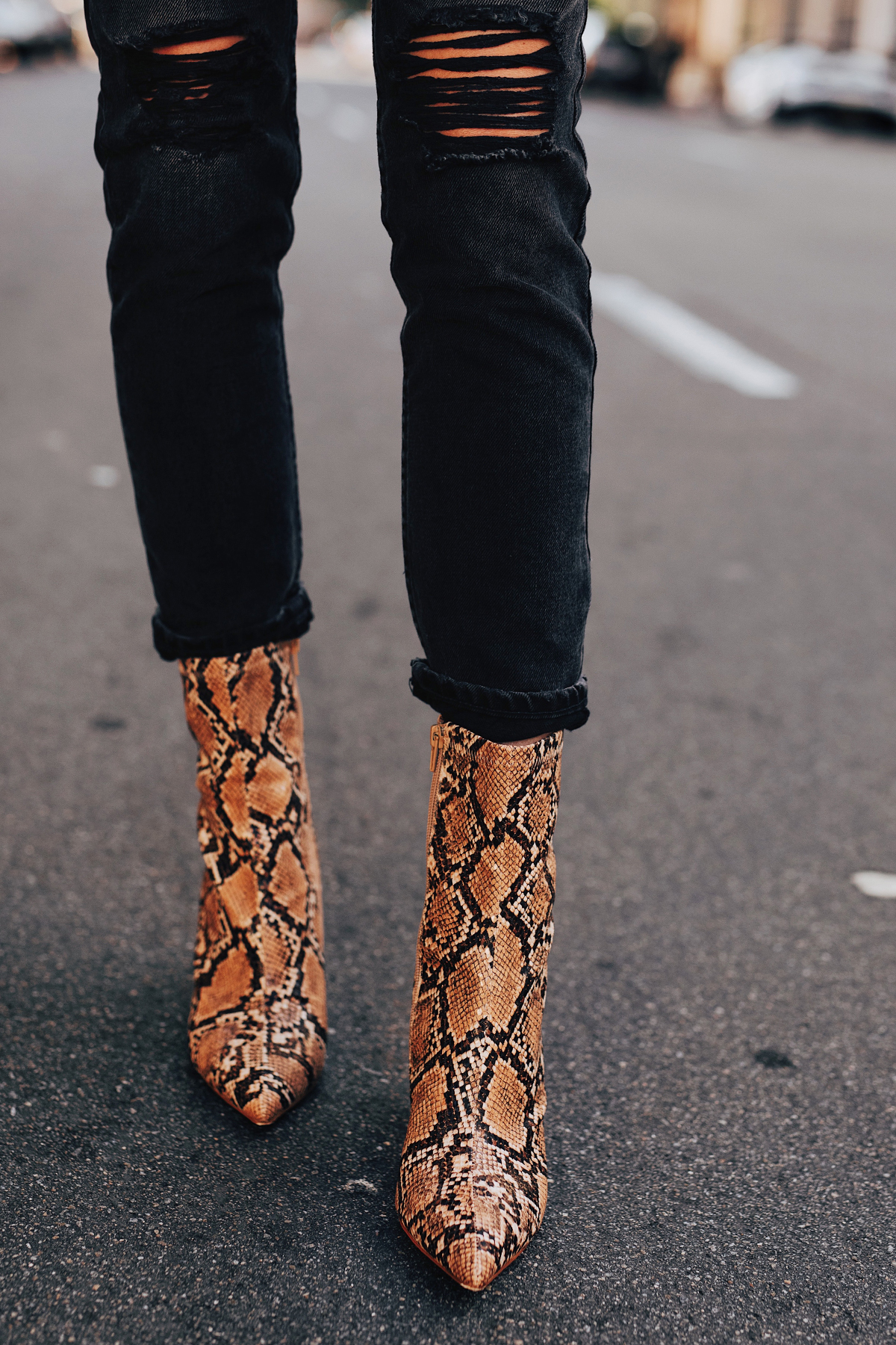 outfits with snakeskin booties