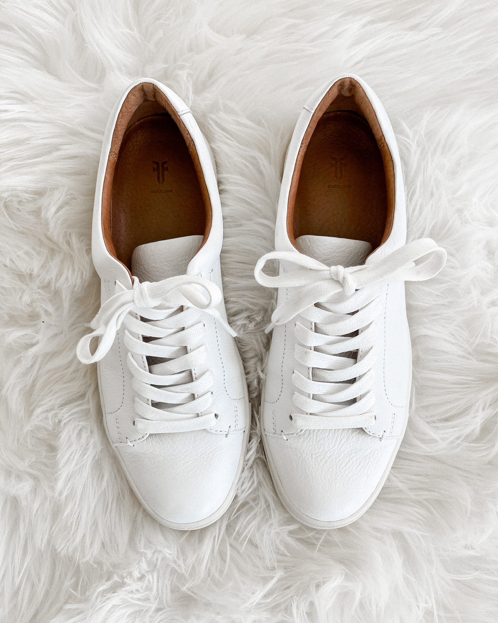 Fashion Jackson Frye White Ivy Sneakers